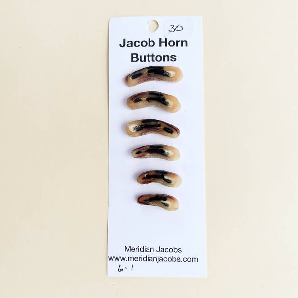 Jacob Horn Buttons - Set of 6