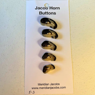 Jacob Horn Buttons - Set of 5